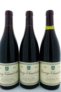 Gevrey-Chambertin 1993