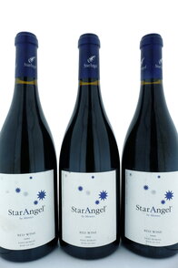 Star Angel 2009