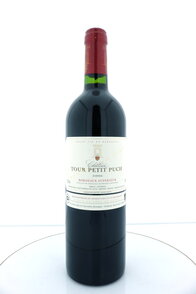 Château Tour Petit Puch 2006