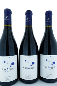 Star Angel 2009