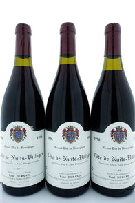 Côte de Nuits Village 1996