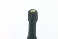 Victor Brut 2008