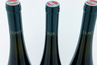 Loibner Ried Steinertal Grüner Veltliner 2021