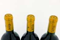 Château Grand Bos 1995