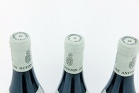 Chambolle-Musigny 2003