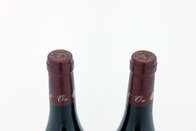 Santenay 1er Cru Clos Tavannes 2001