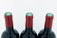 Château Haut-Pougnan 2010