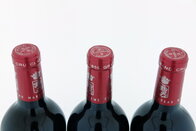 Château Marquis de Terme 2014
