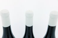 As Olgas Tinto 2021