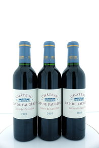 Château Cap de Faugères - Côtes de Castillon 2005